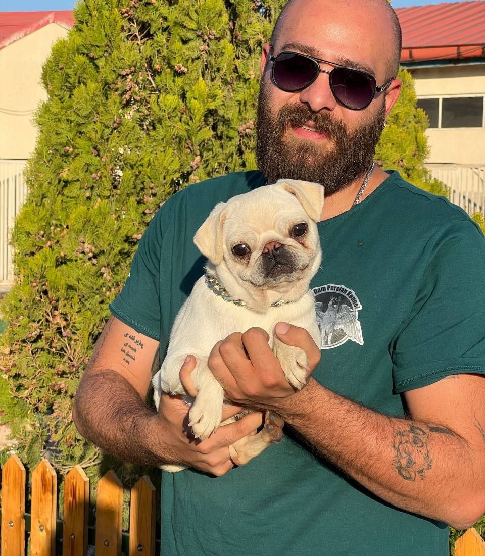 مولد نژاد پاگ پیلو